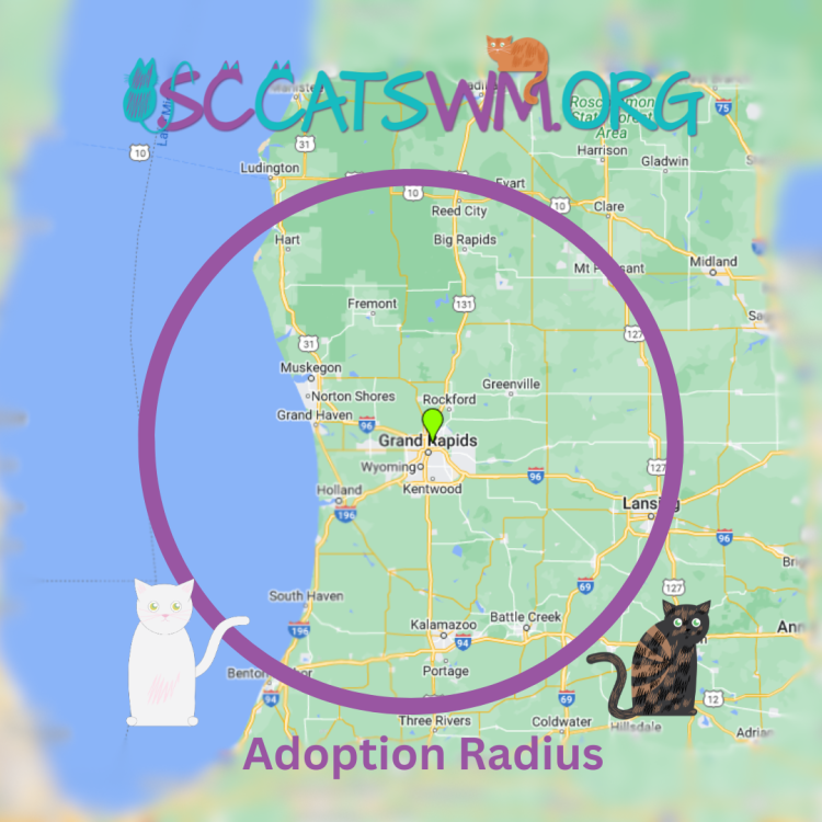 second chance cats adoption radius in west michigan