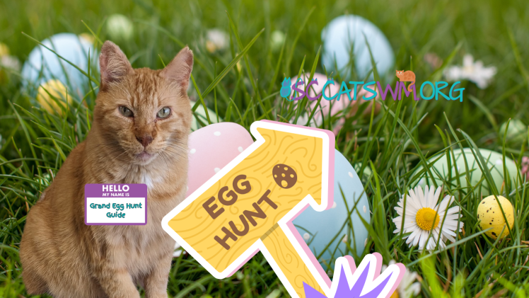 Cats and Community: A Spring Egg Hunt Celebration in Grand Rapids